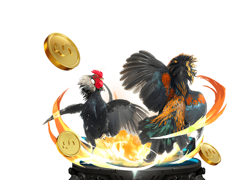 Đa dạng kèo cược đá gà tại B52 Tài Xỉu