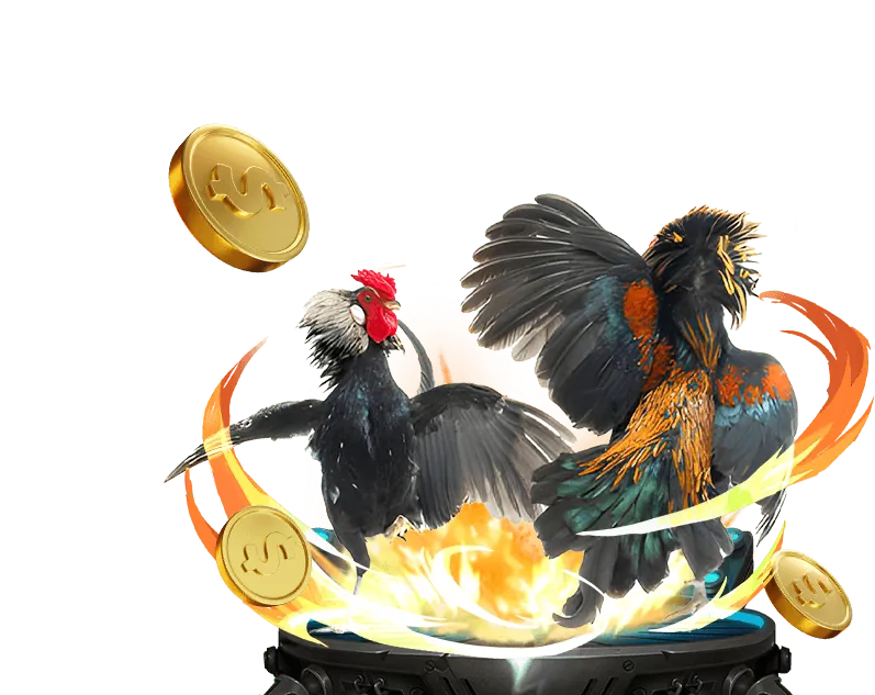 Đa dạng kèo cược đá gà tại B52 Tài Xỉu